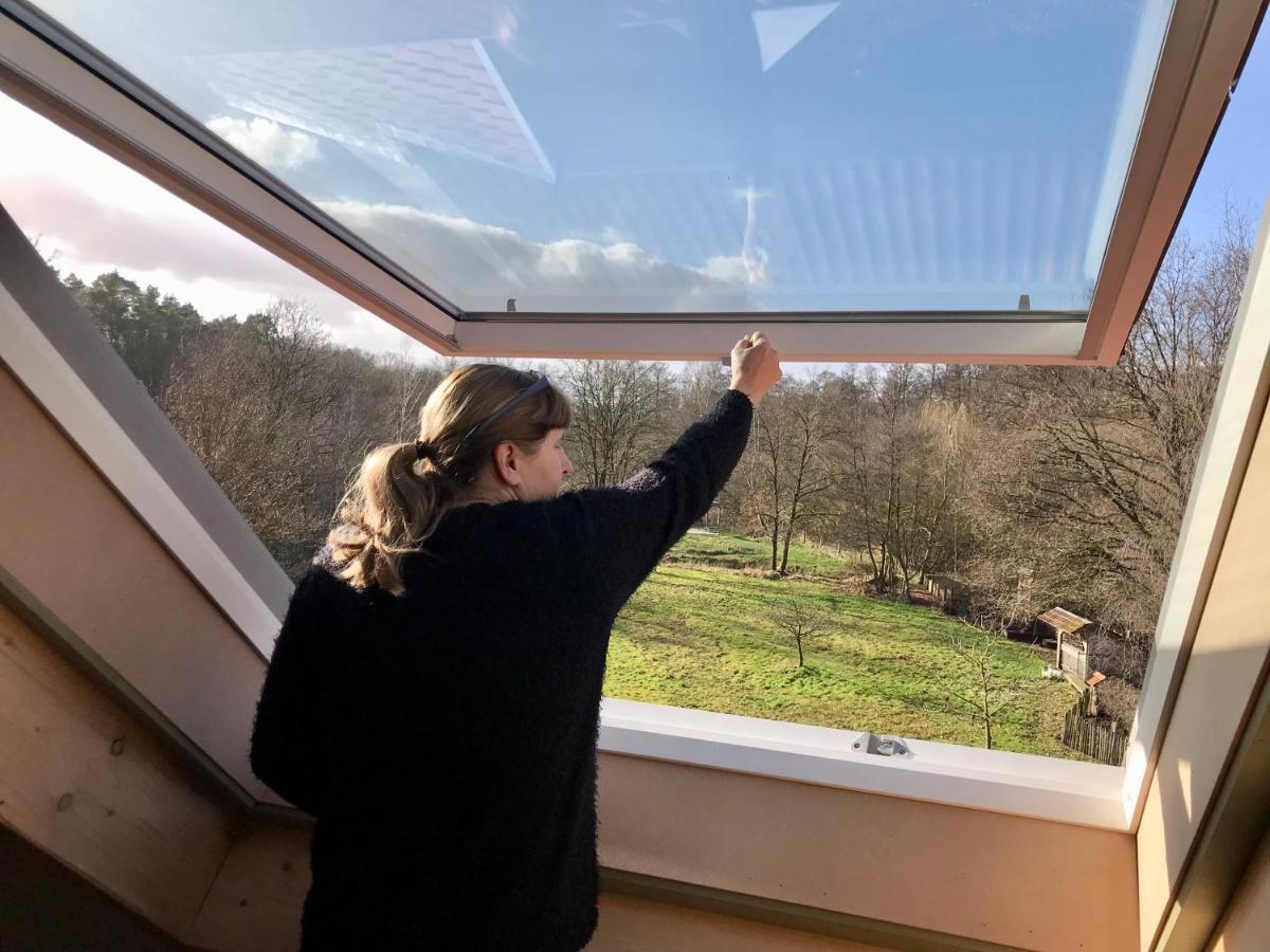 Vakantieverblijf Volmolen B&B Maaseik Eksteriør billede