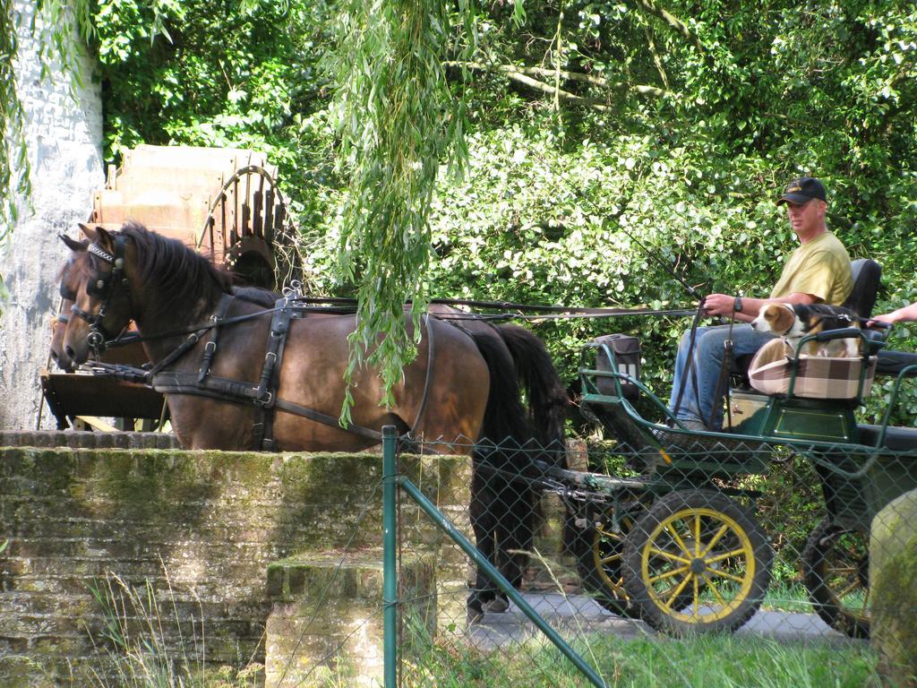 Vakantieverblijf Volmolen B&B Maaseik Eksteriør billede