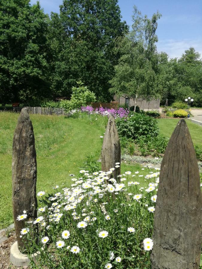 Vakantieverblijf Volmolen B&B Maaseik Eksteriør billede